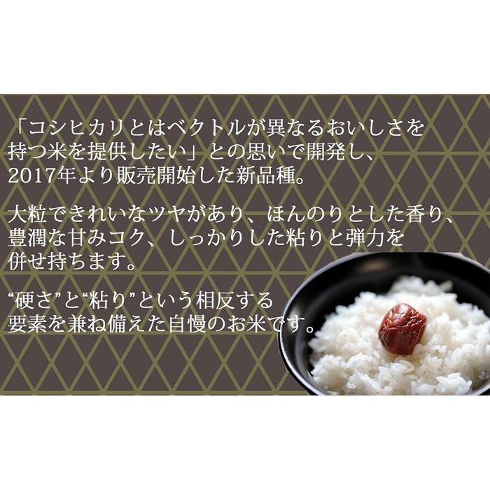 新潟県 ふるさと納税 大和産業株式会社　【ふるさと納税】【定期便全12回】新潟県産新之助5kg（受注の翌月から毎月配送）｜新潟県　新潟　米　おこめ　お米 | お米 こめ 白米 食品 人気 おすすめ 送料無料