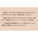 【ふるさと納税】【定期便全6回】【栄養機能食品】白米と同じように炊けるやわらかい玄米 新潟県産コシヒカリ 900g×4袋 | お米 こめ 玄米 食品 人気 おすすめ 送料無料 2