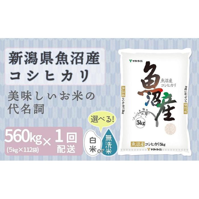 【ふるさと納税】【大口】無洗米新潟県産魚沼コシヒ...の商品画像