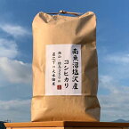 【ふるさと納税】【ギフト用】南魚沼塩沢コシヒカリ【西山の天水田米】精米10kg(5kg×2)