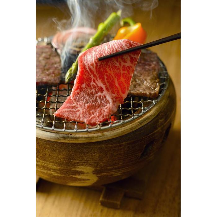 【ふるさと納税】雪室熟成にいがた和牛モモ焼肉用(500g)