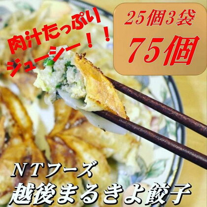 【越後まるきよ餃子】25個入り×3袋セット | 食品 加工食品 人気 おすすめ 送料無料