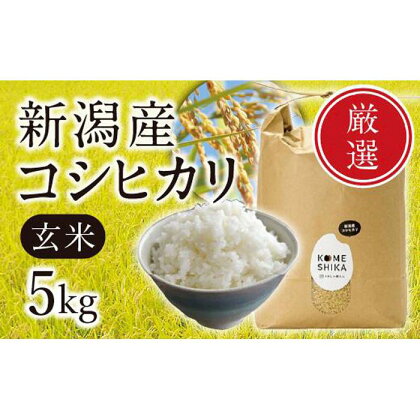 【令和5年産米】新潟産コシヒカリ 玄米5kg
