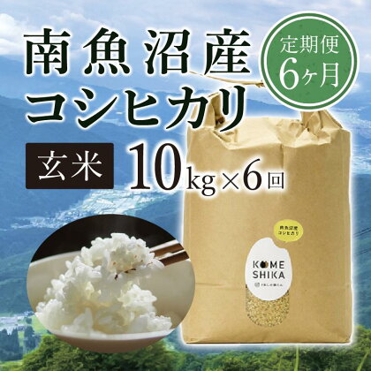 【令和5年産米】【定期便6ヵ月】雪室貯蔵 南魚沼産コシヒカリ 玄米10kg×6回