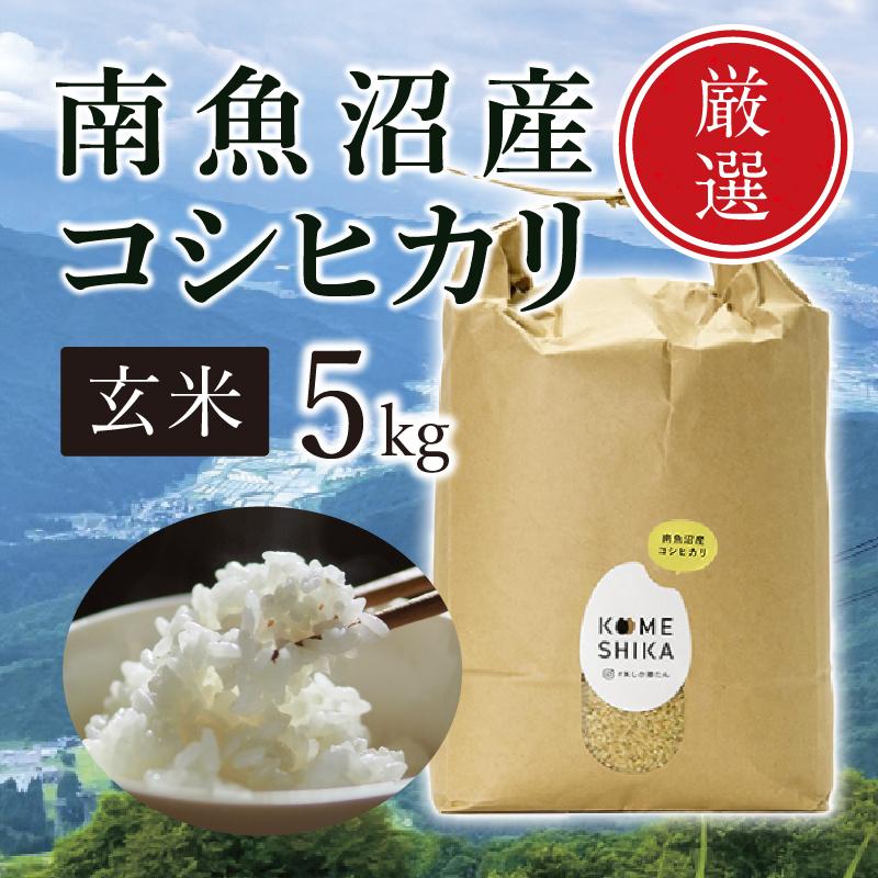 【ふるさと納税】【令和5年産米】【雪室貯蔵】南魚沼産コシヒカリ 玄米5kg