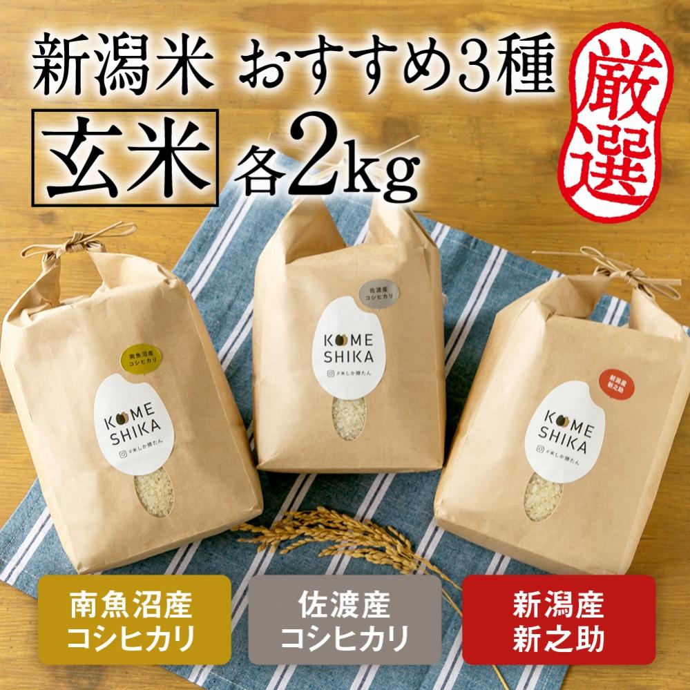 令和5年産米【おすすめ3種食べ比べ】玄米各2kg 南魚沼産コシヒカリ・佐渡産コシヒカリ・新潟産新之助