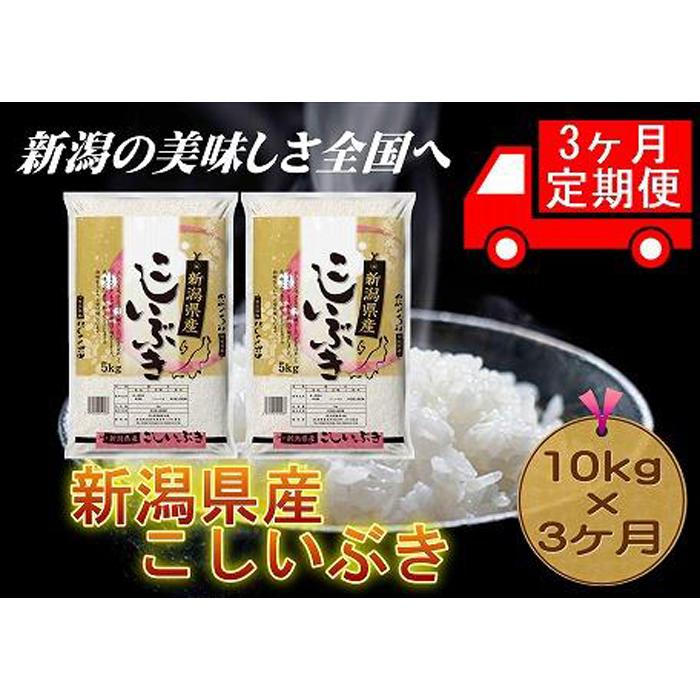 【定期便3カ月連続お届け】新潟県産こしいぶき　5kg×2 | お米 こめ 白米 食品 人気 おすすめ 送料無料