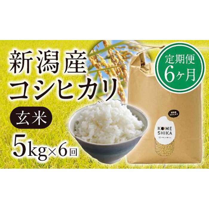 【令和5年産米】【定期便6ヵ月】新潟産コシヒカリ 玄米5kg×6回