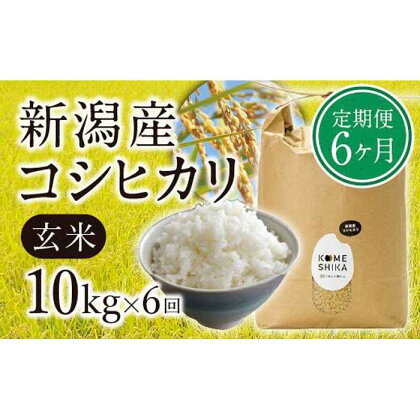 【令和5年産米】【定期便6ヵ月】新潟産コシヒカリ 玄米10kg×6回