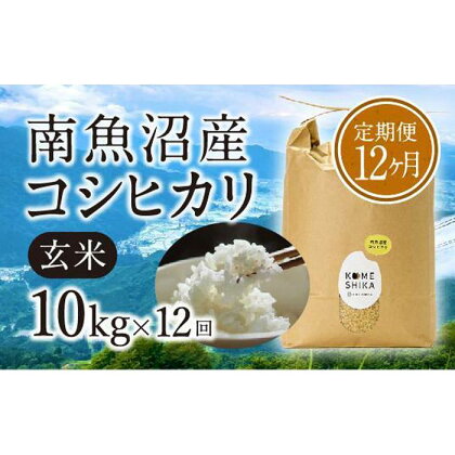 【令和5年産米】【定期便12ヵ月】雪室貯蔵 南魚沼産コシヒカリ 玄米10kg×12回 | お米 こめ 食品 人気 おすすめ 送料無料