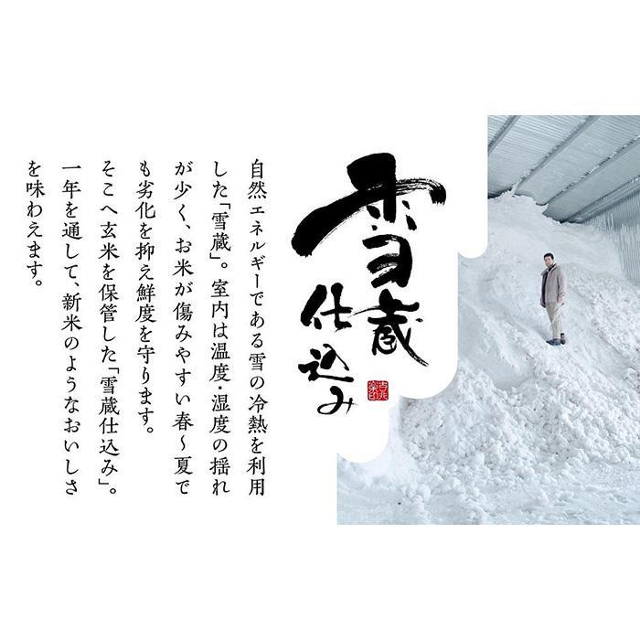 【ふるさと納税】雪蔵精法　新潟県産コシヒカリ＆新之助　各2kg（計4kg）／定期便(各2kg×3・6・12ヶ月)