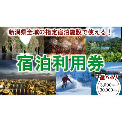 【宿泊利用券】新潟県内の指定宿泊施設で使える！3,000円分～30,000円分　全5種類 | 旅行券 宿泊券 旅行 宿泊 トラベル 体験 チケット 予約 観光 温泉 ホテル 旅館