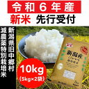 【ふるさと納税】【令和6年産新米・先行予約】新潟県旧中郷村減農薬特別栽培米コシヒカリ 10kg（5kg×2袋）【10月下旬から発送予定】 | お米 こめ 白米 食品 人気 おすすめ 送料無料