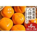 【ふるさと納税】【2024年先行予約】新潟県産 八珍柿 約6kg 種なし柿 刀根早生《10月上旬～順次発送》 | フルーツ 果物 くだもの 食品 人気 おすすめ 送料無料