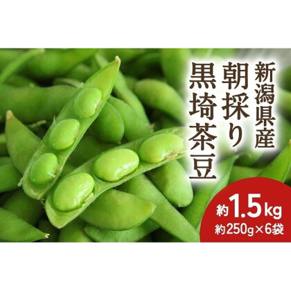 【2024年先行予約】新潟県産 朝採り 黒埼茶豆 約1.5kg《8月上旬～順次発送》 | 野菜 やさい 食品 人気 おすすめ 送料無料