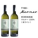 【ふるさと納税】栃尾ワインT100ケルナー　750ml　2本