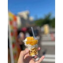 【ふるさと納税】柿色鮮やか!まるごと柿ソース(1袋)&柿ジェラート(6個) | お菓子 菓子 おかし スイーツ デザート 食品 人気 おすすめ 送料無料