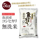 【ふるさと納税】無洗米 吟精 南魚沼産コシヒカリ5kg 令和6年産 精米 | お米 こめ 白米 食 おすすめ 人気 送料無料
