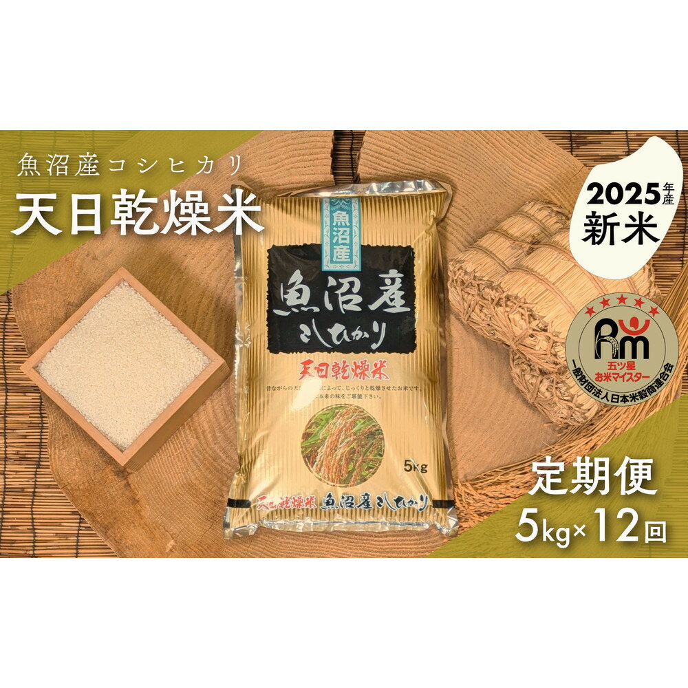 ڤդ뤵Ǽǡۡڿơۡء7ǯָޤƥޥ׸ŷ»ҥꡡ5kg12 |     ͵ ...