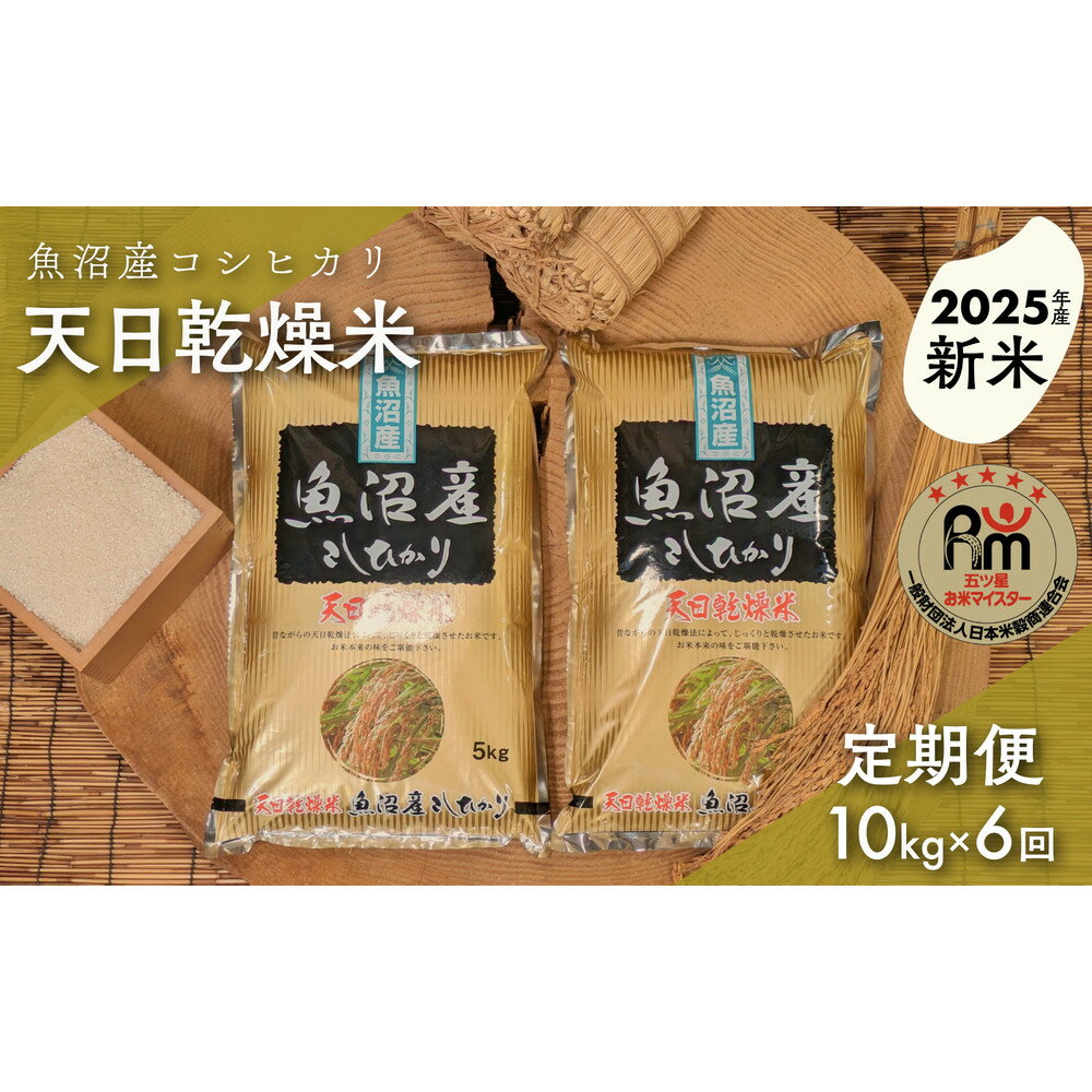 ڤդ뤵Ǽǡۡڿơۡء7ǯָޤƥޥ׸ŷ»ҥꡡ10kg5kg2ġˡ6 |   ...