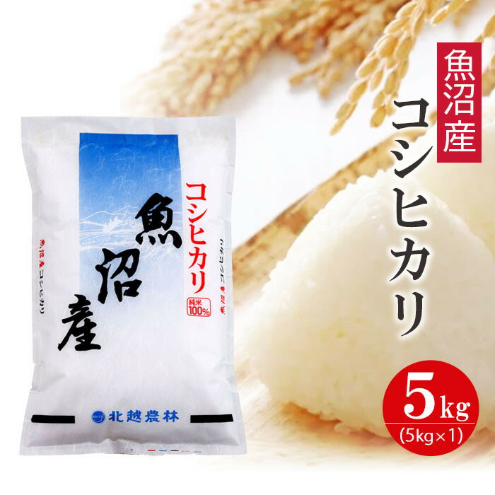 【ふるさと納税】〈令