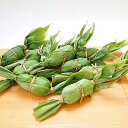 【ふるさと納税】【越後が産んだ郷土の名産】笹団子(55g×10個)