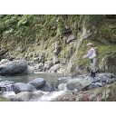 【ふるさと納税】【共通遊漁券】県内共通遊漁承認証 対象魚類:イワナ、ヤマメ等