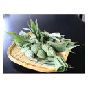 【ふるさと納税】【越後が産んだ郷土の名産】笹団子(約55g×30個)