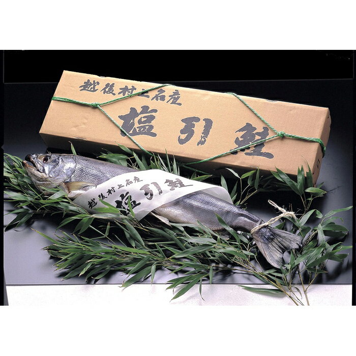 ڤդ뤵Ǽǡ¼̾1ʪ