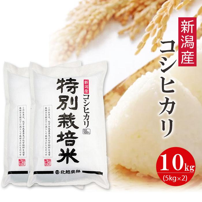 新潟産コシヒカリ 特別栽培米10kg 新潟県認証米 令和5年産
