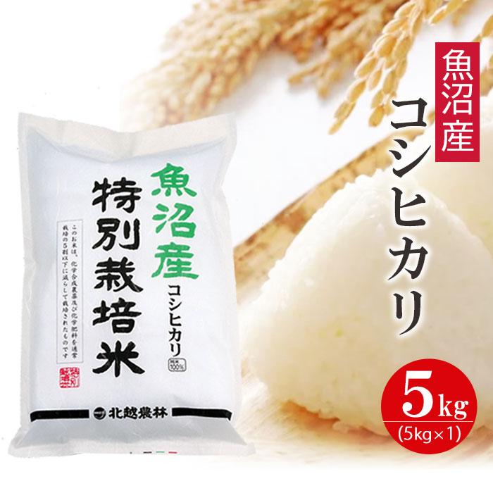 【ふるさと納税】魚沼産コシヒカリ 特別栽培米5kg 令和6年産 新潟県認証米 精米 白米 | お米 こめ 白米 食品 人気 おすすめ 送料無料のサムネイル