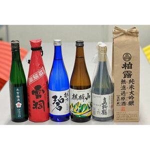 【ふるさと納税】日本酒　飲み比べセット2