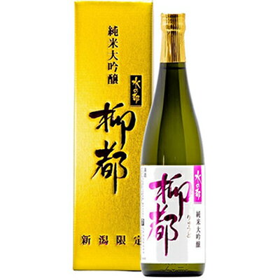 【ふるさと納税】高野酒造 水の都 柳都 純米大吟醸 720ml　【お酒・日本酒・純米大吟醸酒】