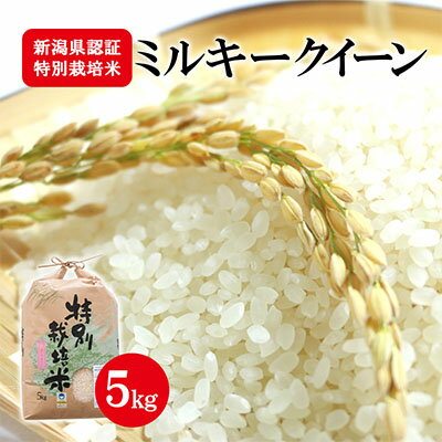 【ふるさと納税】新潟県認証特別栽培米ミルキークイーン 5kg　【お米・ミルキークイー...