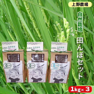 上野農場 自然栽培田んぼセット1kg×3袋　【お米】