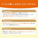 【ふるさと納税】煮玉子しんじょう 8個詰合せ しんじょう おつまみ つまみ 練り物 8個 詰め合わせ セット 煮卵 卵 たまご 玉子 新潟　【 新潟市 】 3