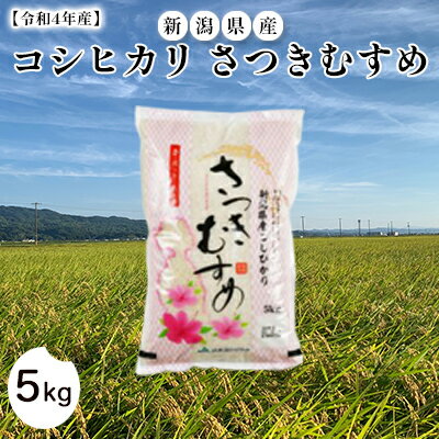 【ふるさと納税】【令和4年産】新潟県産コシヒカリさつきむすめ5kg【お米・コシヒカリ】