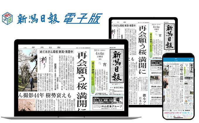 【ふるさと納税】新潟日報電子版　3カ月 雑貨 日用品