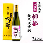 【ふるさと納税】高野酒造 水の都 柳都 純米大吟醸 720ml　【お酒・日本酒・純米大吟醸酒】