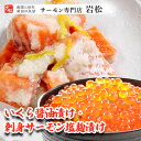 【ふるさと納税】いくら醤油漬け・刺身サーモン塩麹漬け いくら