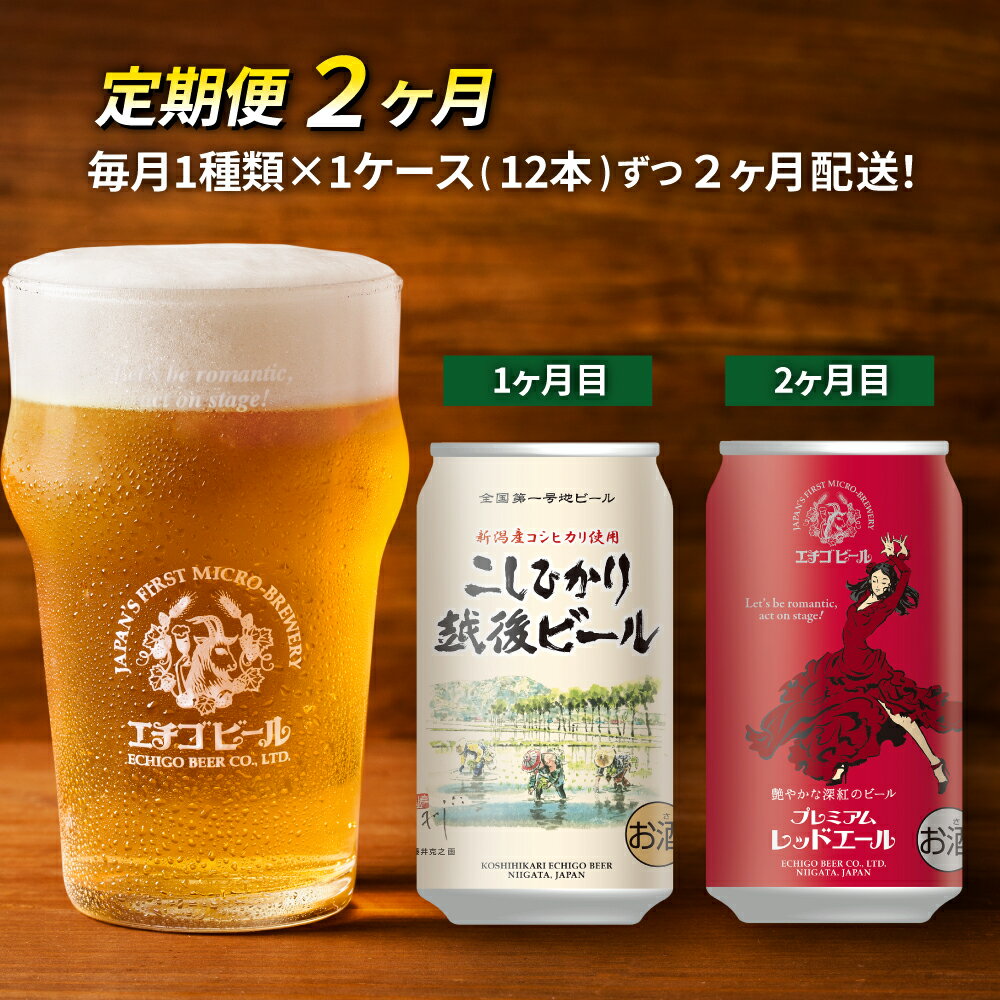 【定期便2ヶ月】エチゴビール【1ヶ月目】こしひかり越後ビール350ml缶×12本【2ヶ月目】プレミアムレッドエール350ml缶×12本 地ビール ビール 全国第一号 クラフトビール 350ml 12本 お酒 酒 人気 新潟 定期便 2回 お楽しみ　【定期便・ 新潟市 】