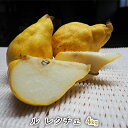 【ふるさと納税】ルレクチェ 4kg レクチェ ル・レクチェ 洋梨 セット 洋ナシ 梨 なし ナシ フルーツ 果物 デザート おやつ お歳暮 ギフト 贈答 プレゼ...