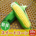 【ふるさと納税】朝採りスイートコーン 10本セット　【野菜・とうもろこし】　お届け：2023年7月1日〜7月25日