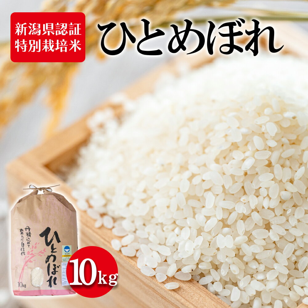 令和5年産 新潟県認証特別栽培米 ひとめぼれ10kg　【 お米 白米 ライス 精米 ご飯 新潟県産 おにぎり お弁当 和食 ブランド米 粘り 甘み 旨み 】