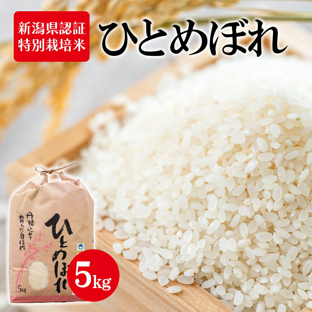 令和5年産 新潟県認証特別栽培米 ひとめぼれ 5kg [ お米 白米 ライス 精米 ご飯 新潟県産 新潟市産 おにぎり お弁当 粘り 甘み 旨み 香り バランス 和食 ブランド米 ]