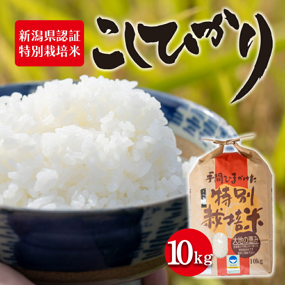 【ふるさと納税】令和5年産 新潟県認証特別栽培米 コシヒカリ10kg　【 お米 白米 ライス 精米 ご飯 新潟県産 新潟市産 おにぎり お弁当 和食 ブランド米 お米の王様 もっちり 粘り 強い 甘み 旨み 】のサムネイル