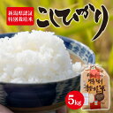 【ふるさと納税】令和5年産 新潟県認証特別栽培米 コシヒカリ 5kg　【 お米 白米 ライス 精米 ご飯 新潟県産 新潟市産 おにぎり お弁当 和食 ブランド米 お米の王様 もっちり 粘り 強い 甘み 旨み 】