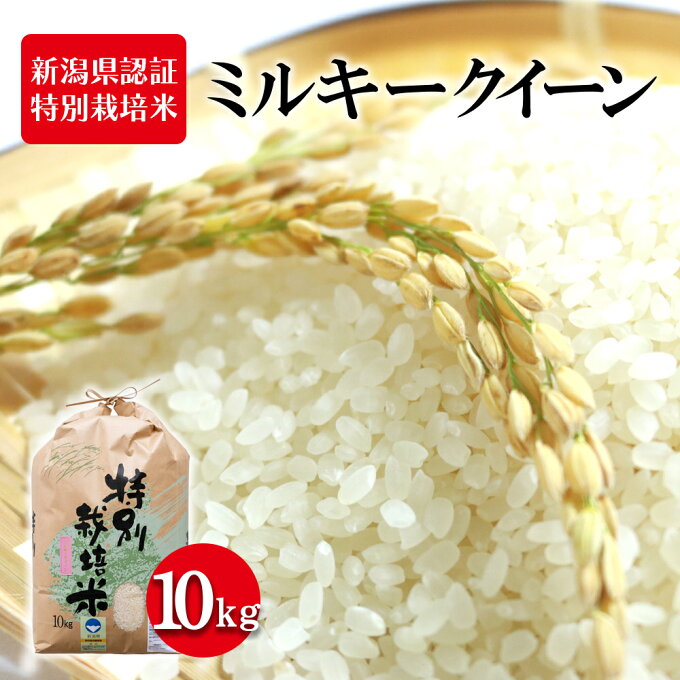 【ふるさと納税】令和4年産 新米 新潟県認証特別栽培米 ミルキークイーン 10kg　...