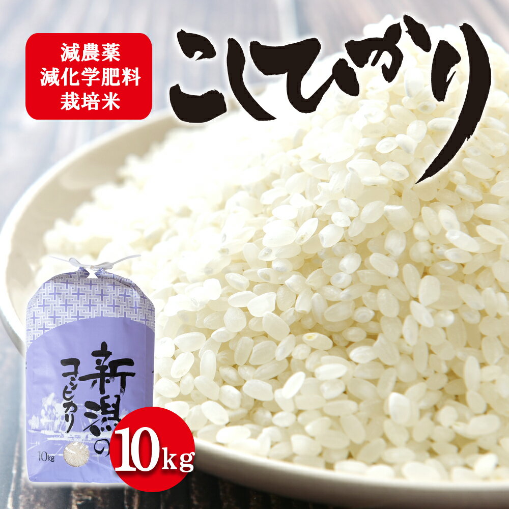 令和5年産 栽培期間中減農薬・減化学肥料栽培米 こしひかり10kg [ お米 白米 ライス 精米 ご飯 新潟県産 新潟市産 おにぎり お弁当 和食 ブランド米 ]