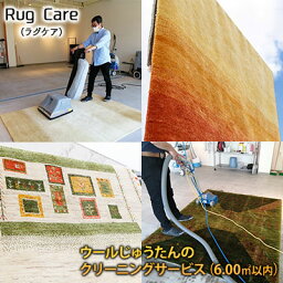【ふるさと納税】ウールじゅうたんのクリーニングサービス（6.00平方メートル以内）「Rug care（ラグケア）」　【 チケット ウール じゅうたん クリーニング 】